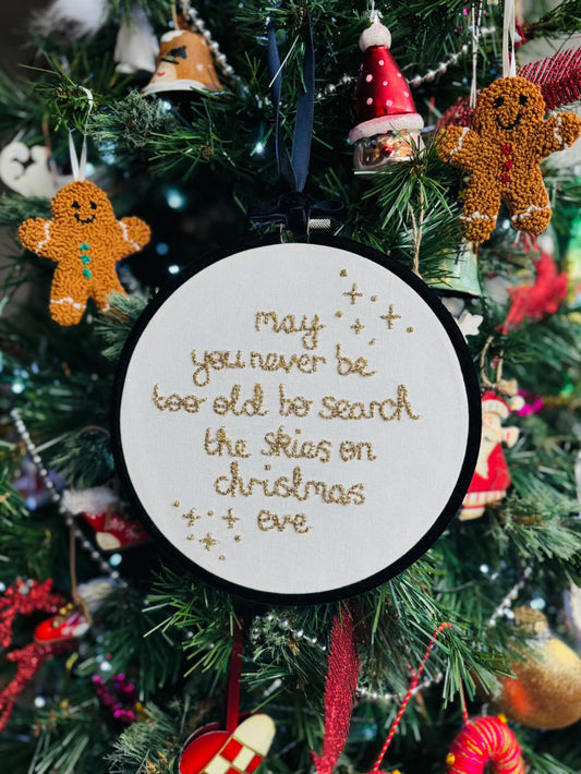 Search the Skies Hoop